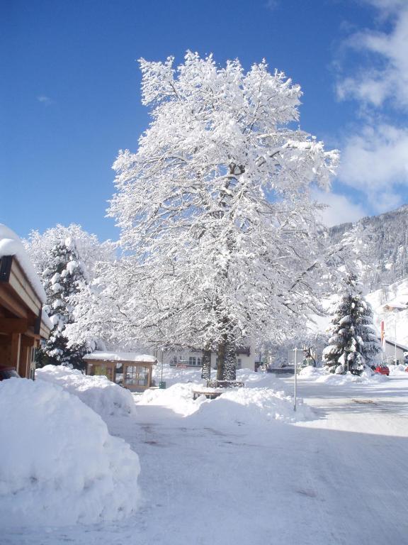 Haus Seifriedsberger Lejlighed Bramberg am Wildkogel Eksteriør billede
