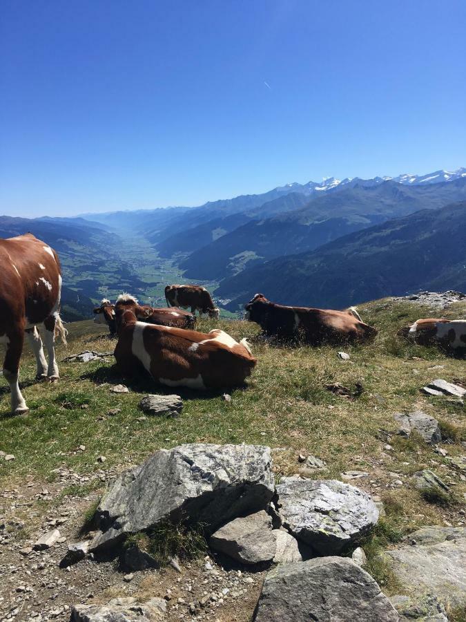 Haus Seifriedsberger Lejlighed Bramberg am Wildkogel Eksteriør billede